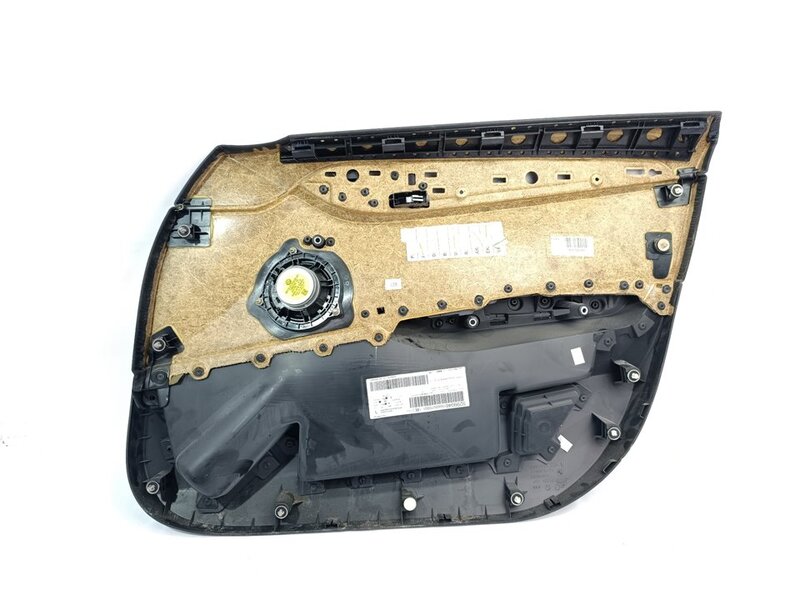 Panel de puerta delantera izquierda BMW X1  - 1