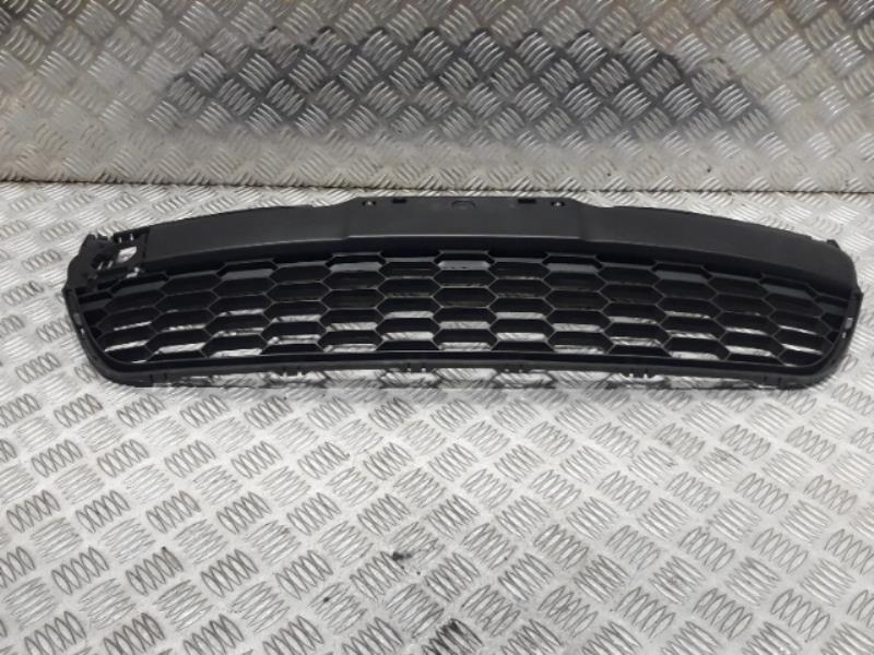 Grille de pare choc