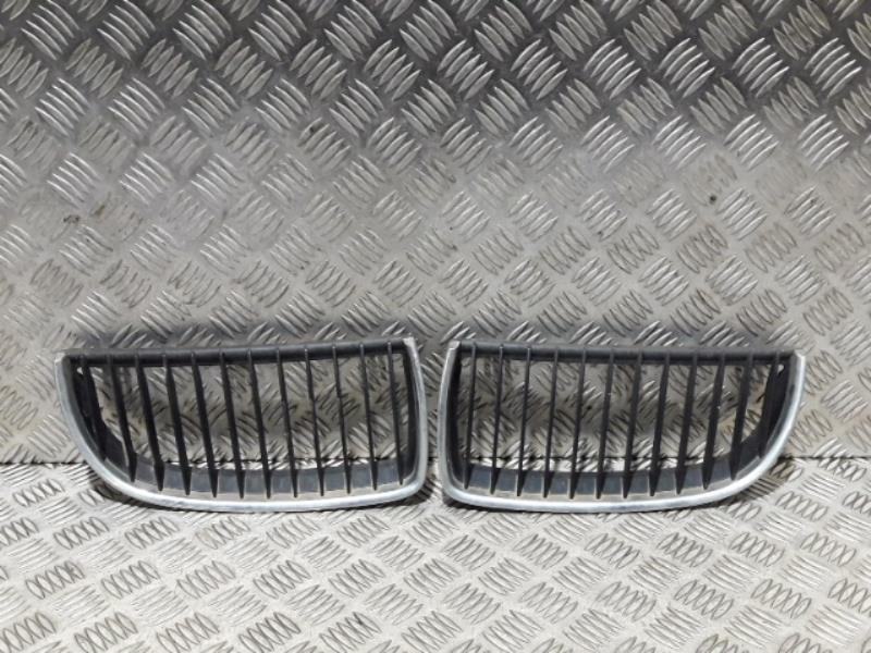 Grille de pare choc
