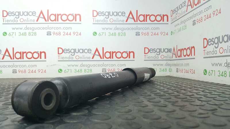 Ammortizzatore posteriore destro RENAULT CLIO III Expression Gasolina - 1