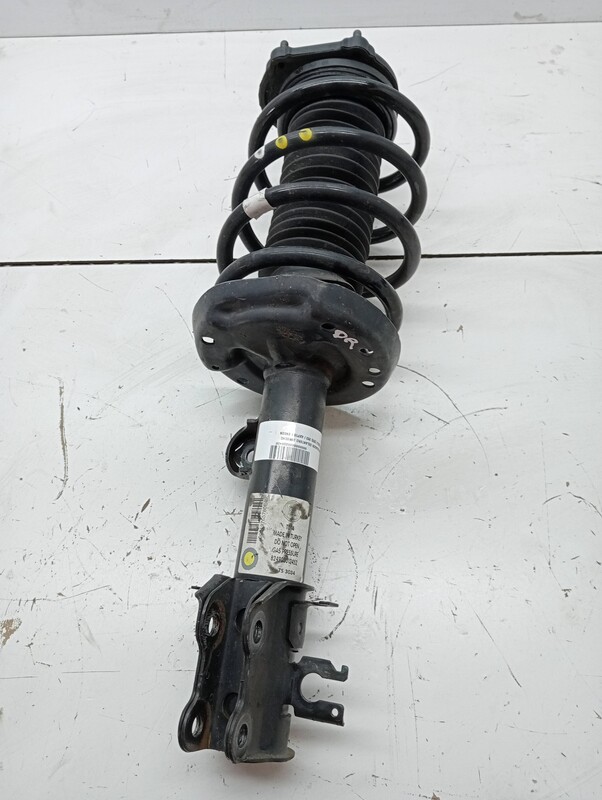 Ammortizzatore anteriore destro FIAT DOBLO Cargo (263_) SN5DN Diésel - 1