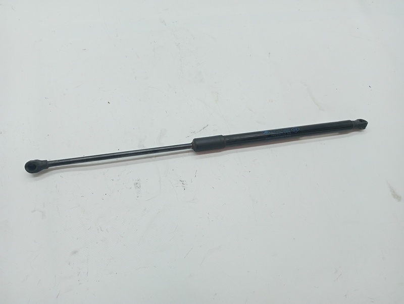 Verin de coffre RENAULT CLIO IV Business Diesel - 1