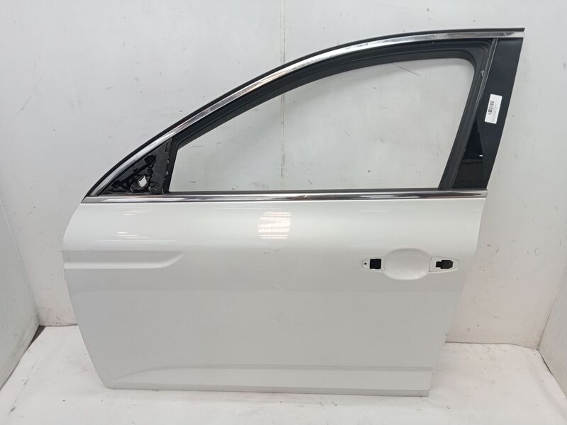 Porte avant gauche RENAULT TALISMAN Diesel - 1