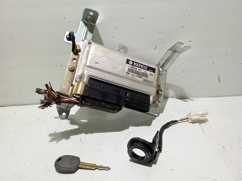 Centralina motore KIA PICANTO I (SA) 1.1 Gasolina - 1