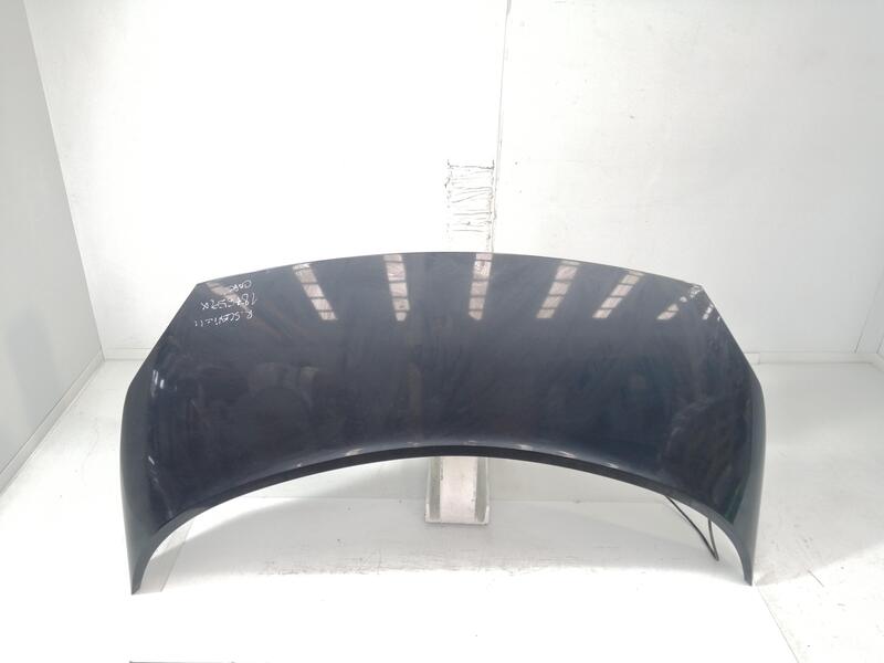 Capot RENAULT GRAND SCENIC II 1.9 DCI  - 1