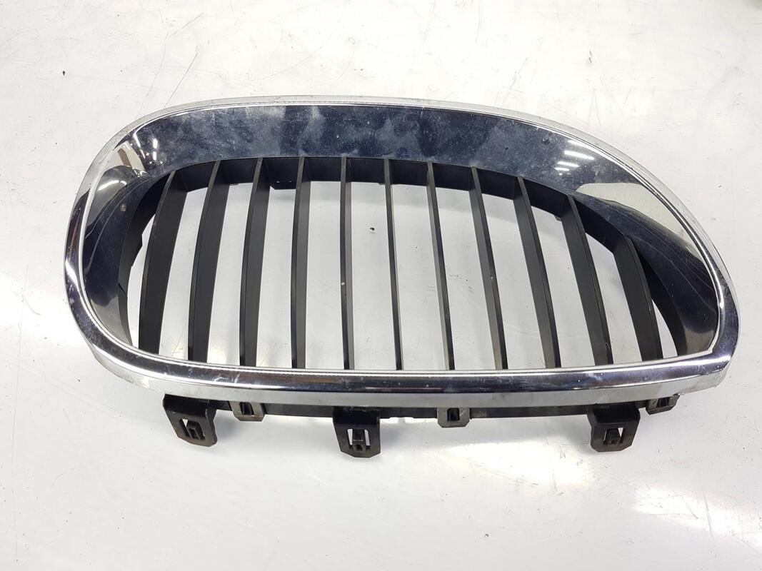 Griglia calandra destra BMW SERIE 5 BERLINA 3.0 TURBODIESEL  - 1