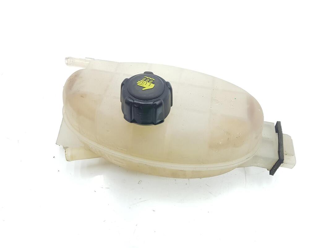 Vaso di espansione RENAULT TRAFIC CAJA CERRADA 2.0 DCI D FAP  - 1