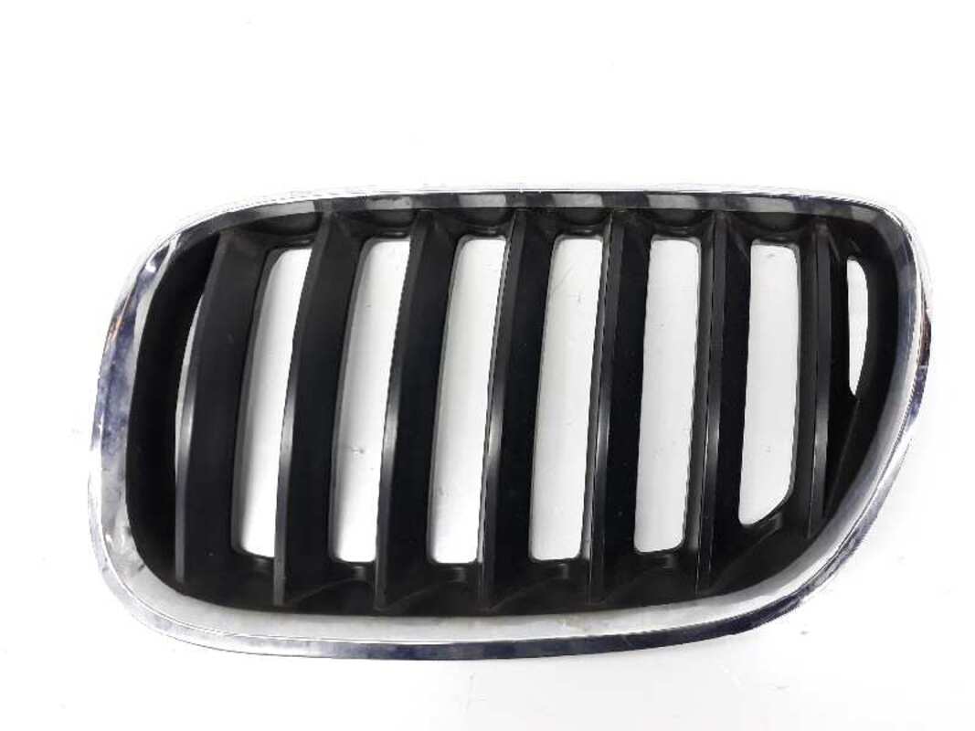 Griglia calandra sinistra BMW X5 3.0 TURBODIESEL  - 1
