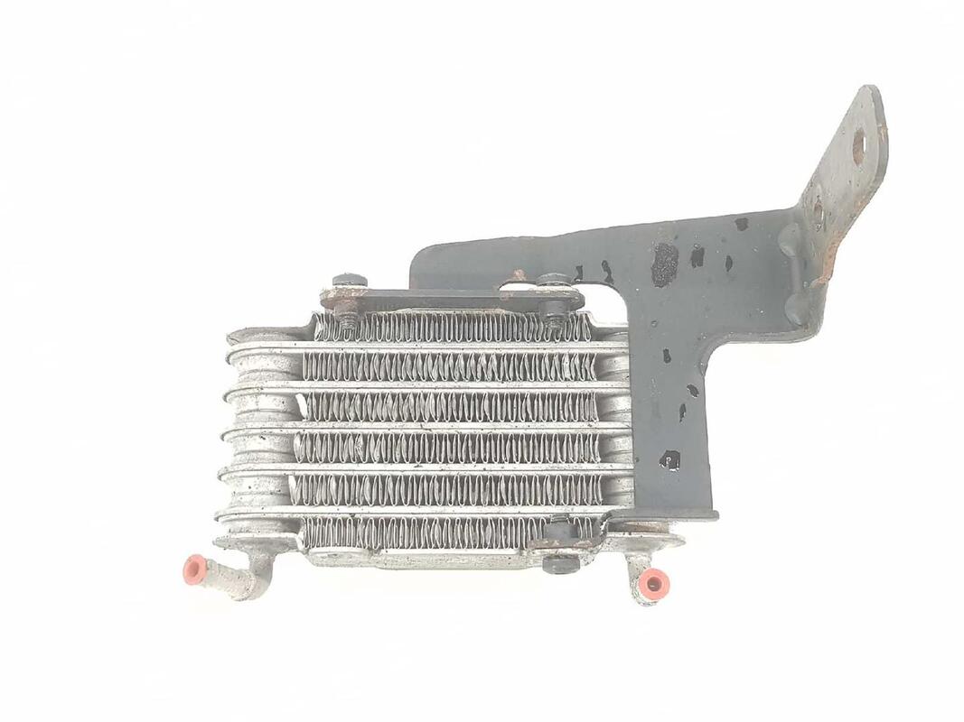 Radiatore acqua BMW SERIE 5 BERLINA 3.0 24V TURBODIESEL  - 1