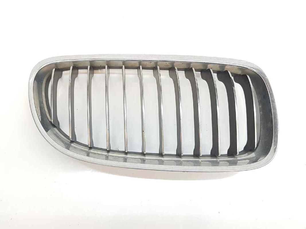 Griglia calandra destra BMW SERIE 3 TOURING 3.0 TURBODIESEL  - 1