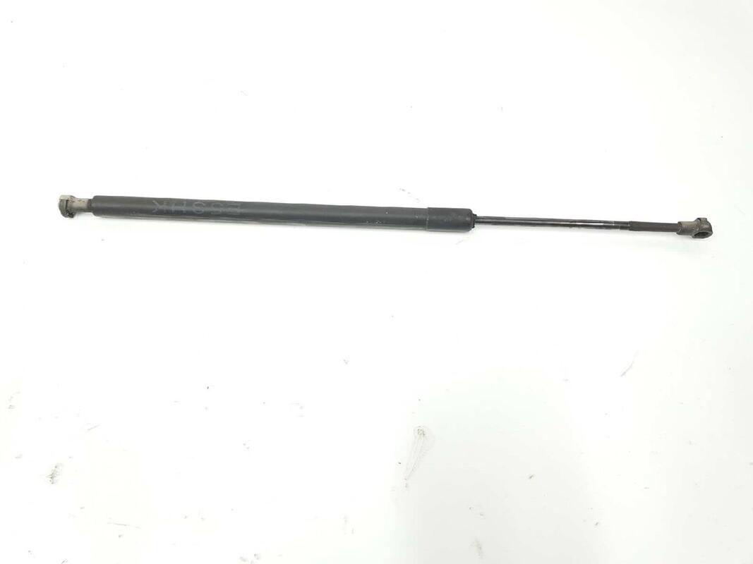 Molla a gas bagagliaio BMW X5 3.0 TURBODIESEL  - 1