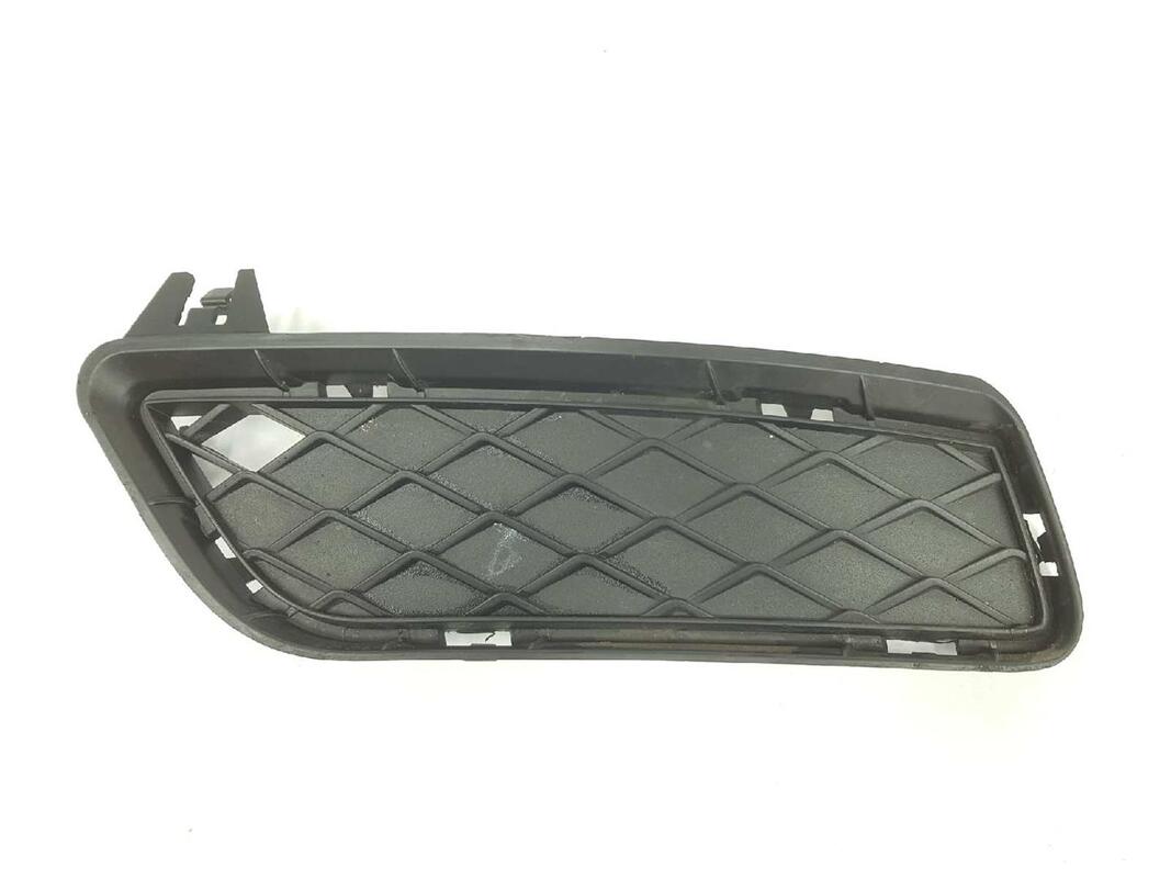 Griglia calandra sinistra BMW X3 2.0 TURBODIESEL  - 1