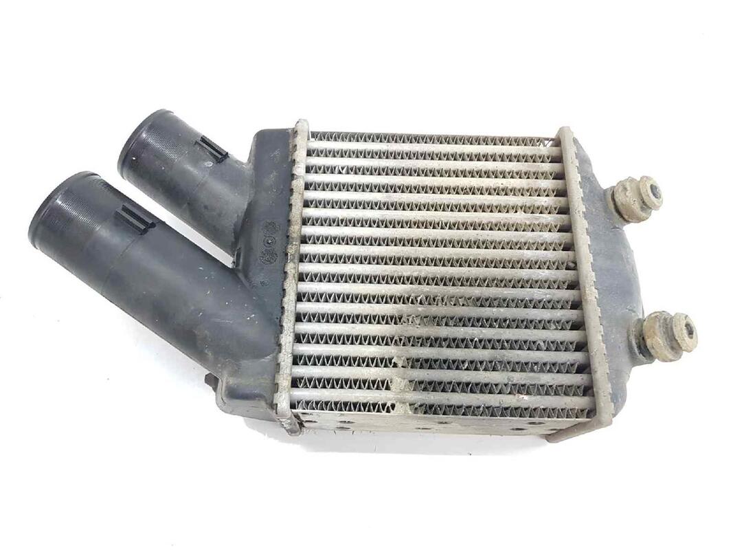 Echangeur air (Intercooler) RENAULT SCENIC RX4 1.9 DCI D  - 1