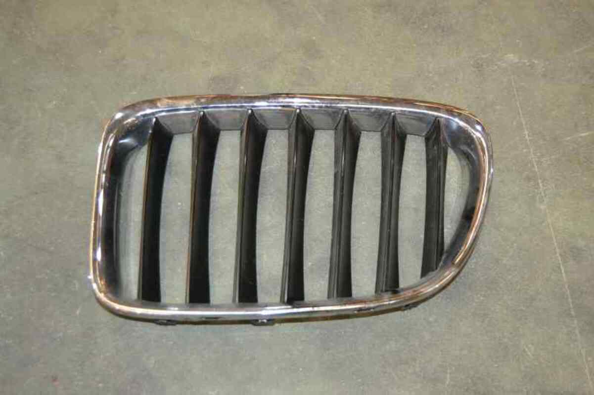 Griglia calandra sinistra BMW X1 2.0 TURBODIESEL  - 1