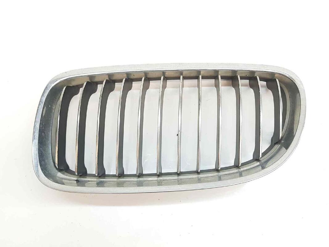 Griglia calandra sinistra BMW SERIE 3 TOURING 3.0 TURBODIESEL  - 1