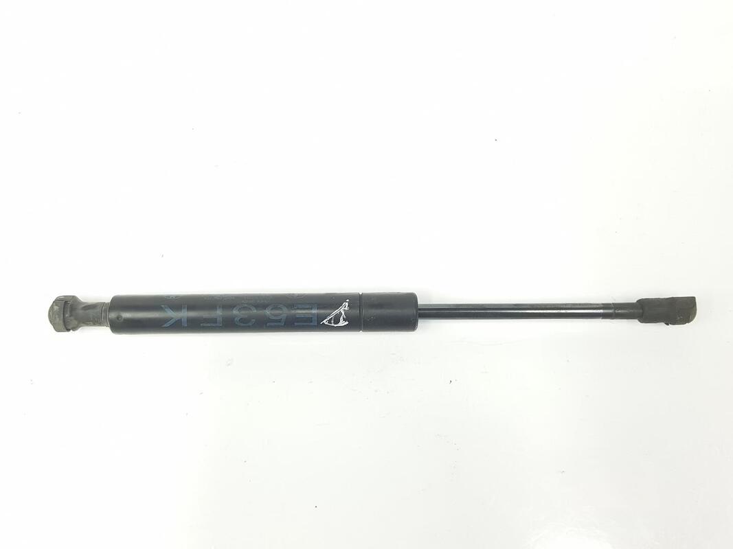 Molla a gas cofano BMW X5 3.0 TURBODIESEL  - 1