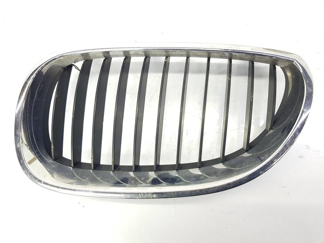 Griglia calandra sinistra BMW SERIE 5 BERLINA 3.0 TURBODIESEL  - 1
