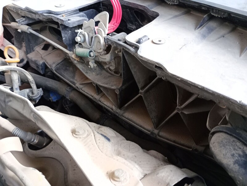 Radiateur eau FIAT 500L (351_, 352_) 1.6 D Multijet Diesel - 1