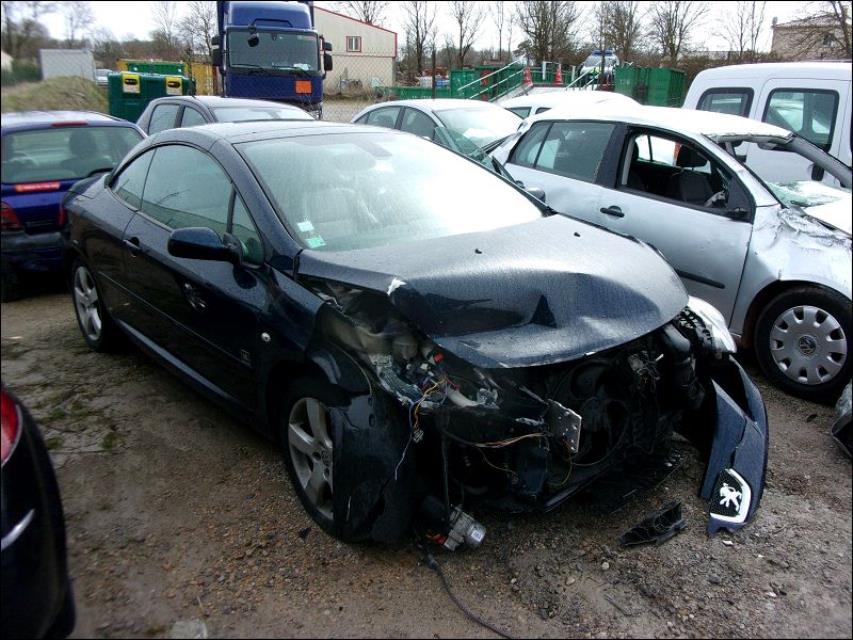 Custode arriere gauche PEUGEOT 307 PHASE 2 CABRIOLET Diesel - 1