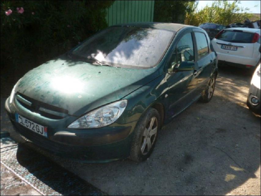 Carter inferieur PEUGEOT 307 PHASE 1 Diesel - 1