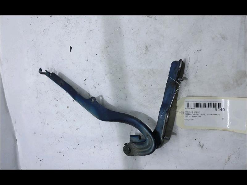 Charniere de capot PEUGEOT 207 Diesel - 1