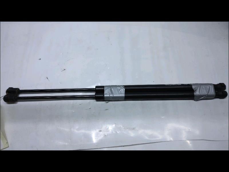 Verin de coffre RENAULT SCENIC 2 Diesel - 1