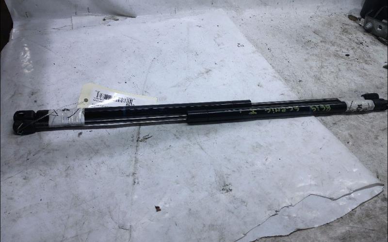 Verin de coffre RENAULT SCENIC 1 Diesel - 1