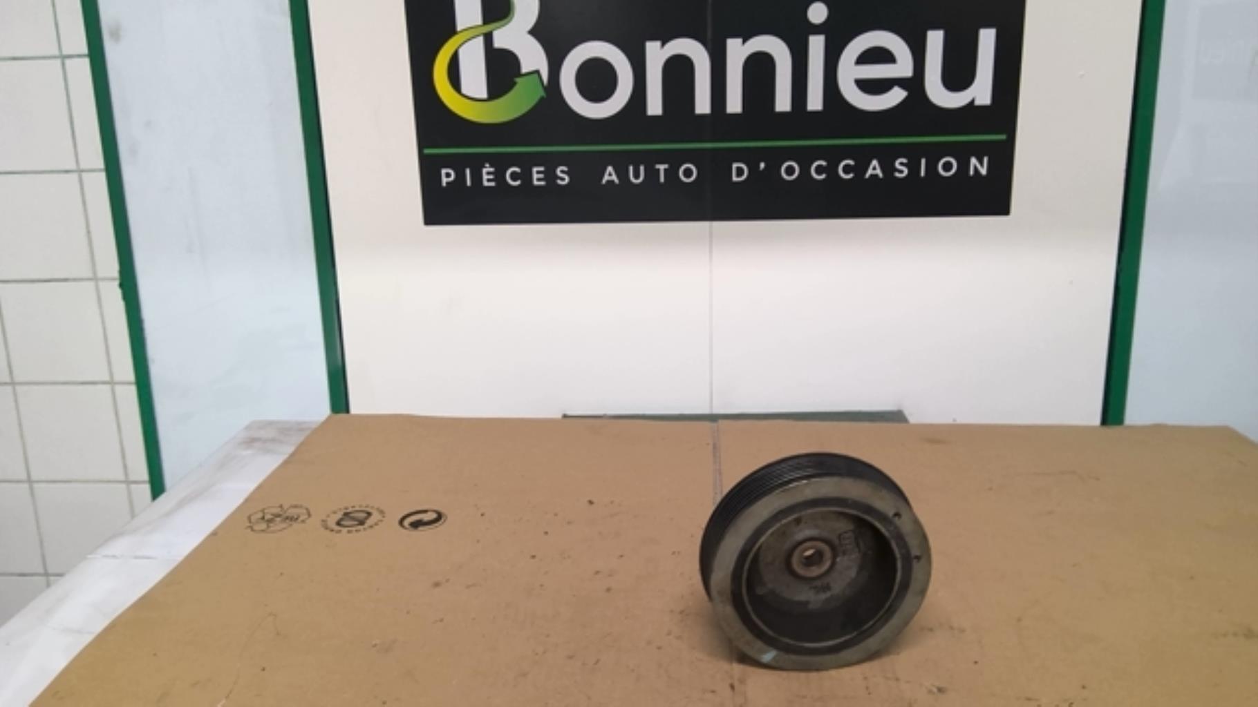 Puleggia smorzatrice RENAULT SCENIC 1 PHASE 2 Diésel - 1