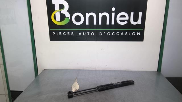 Molla a gas bagagliaio RENAULT MEGANE 3 PHASE 1 Diésel - 1