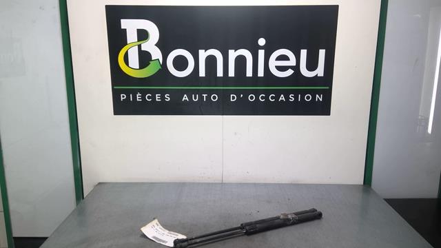 Verin de coffre BMW SERIE 1 E81 Diesel - 1