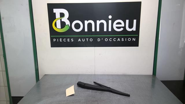 Braccio tergicristallo posteriore RENAULT ZOE 1 Electricidad - 1