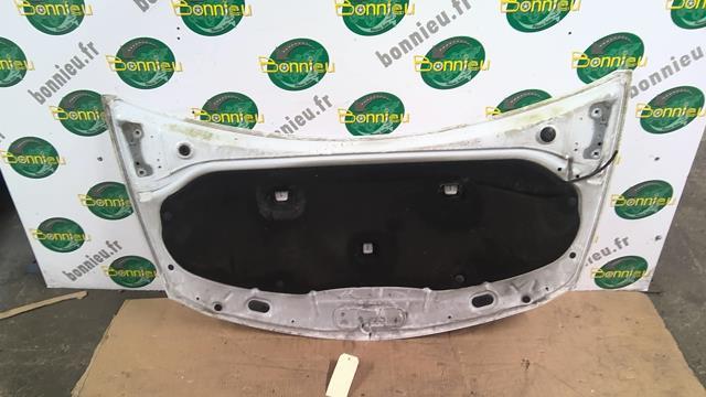 Capot RENAULT CLIO 3 PHASE 2 Diesel - 1