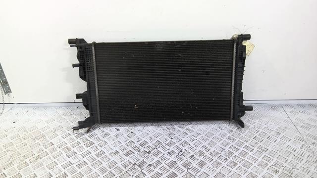 Radiatore acqua RENAULT GRAND SCENIC 3 PHASE 1 Diésel - 1