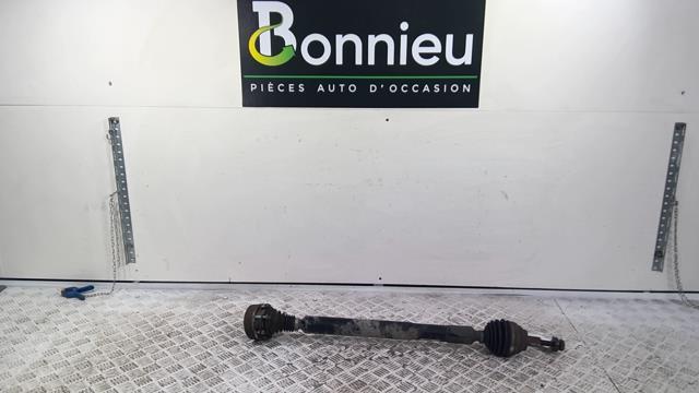 Giunto cardanico albero di trasmissione destro VOLKSWAGEN EOS CABRIO PHASE 1 Gasolina - 1
