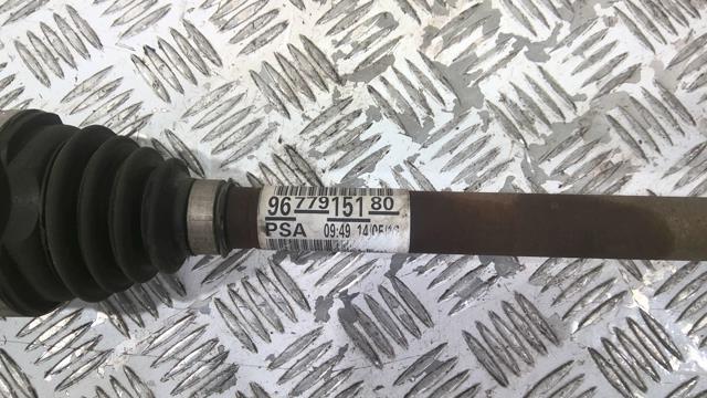 Giunto cardanico albero di trasmissione sinistro CITROEN C4 PICASSO 2 PHASE 1 Gasolina - 1