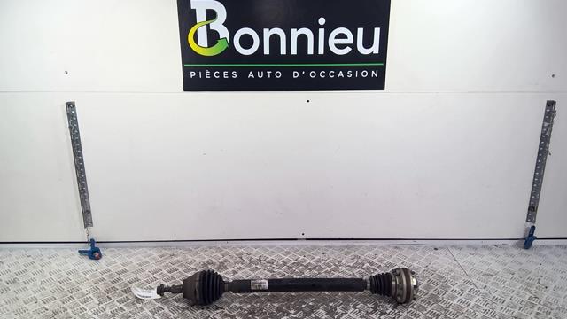 Giunto cardanico albero di trasmissione destro VOLKSWAGEN GOLF 7 PHASE 1 Diésel - 1