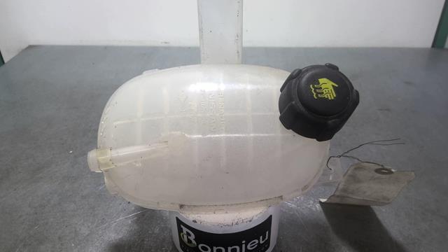 Vase d'expansion RENAULT CLIO 5 PHASE 1 Diesel/Hybride - 1