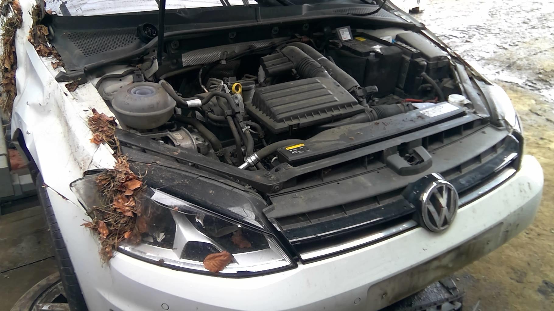 Alternatore VOLKSWAGEN GOLF 7 PHASE 1 Gasolina - 1