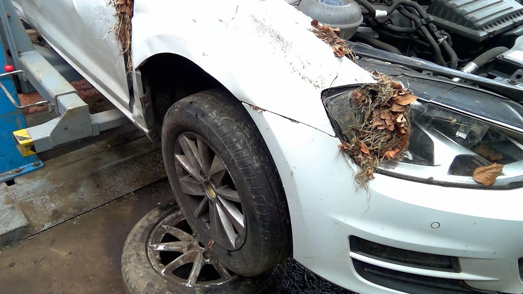 Giunto cardanico albero di trasmissione destro VOLKSWAGEN GOLF 7 PHASE 1 Gasolina - 1