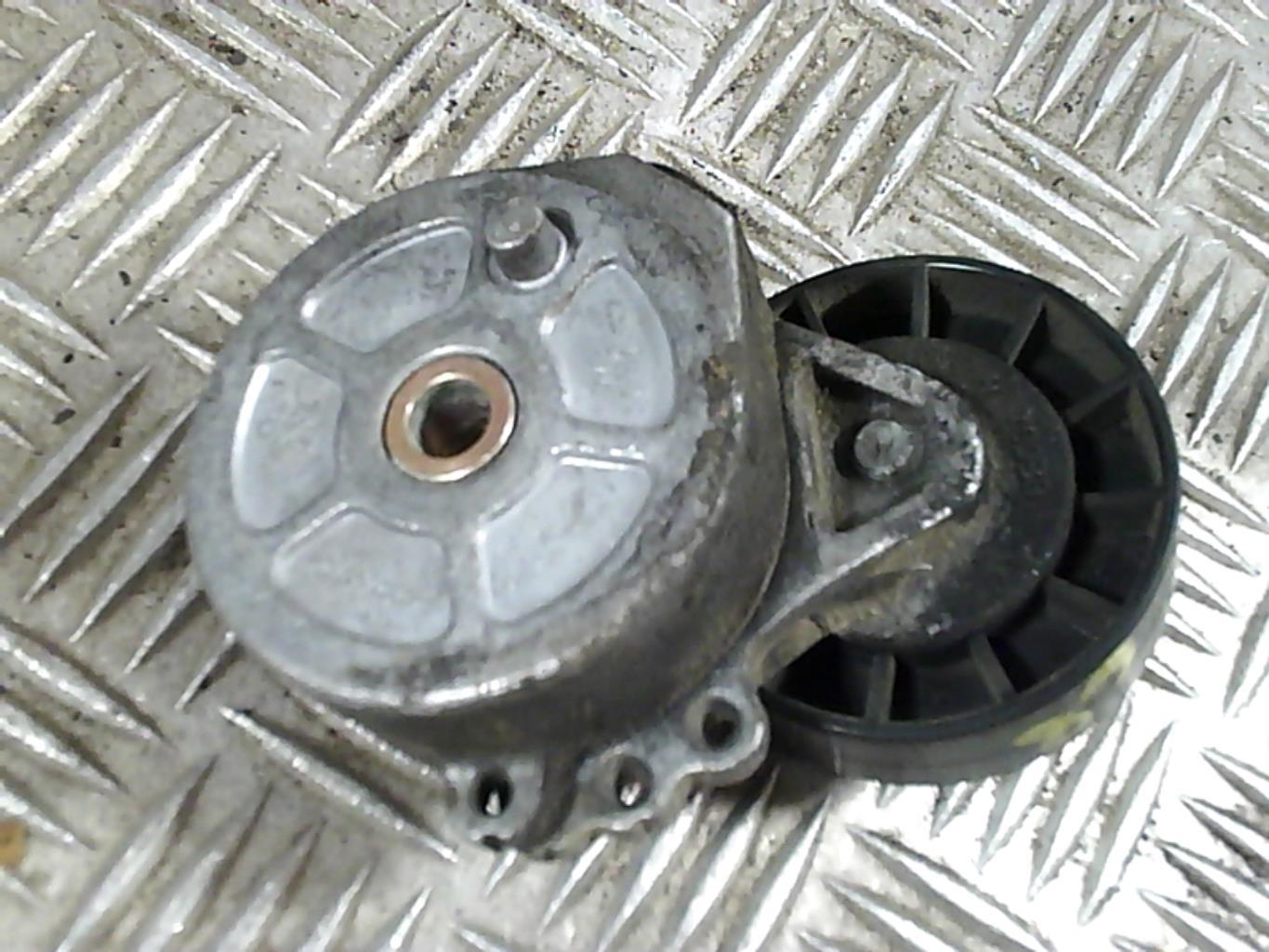 Galet tendeur CITROEN C8 Diesel - 1