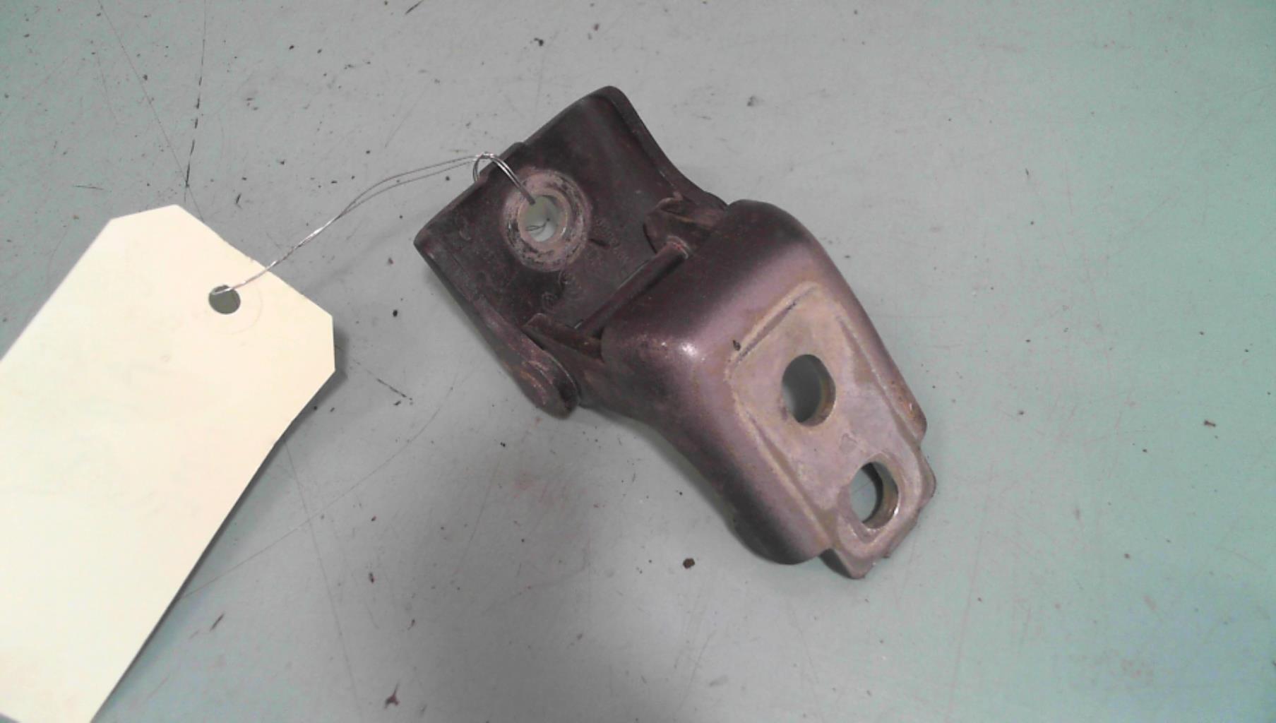 Cerniera portiera anteriore sinistra RENAULT MEGANE 3 PHASE 1 Diésel - 1