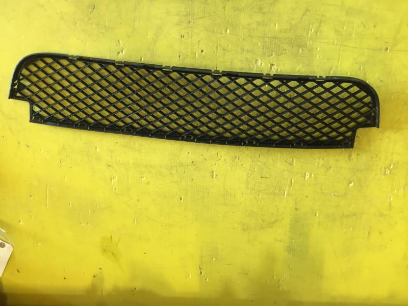 Grille de pare choc BMW X3 E83 PHASE 2 Diesel - 1