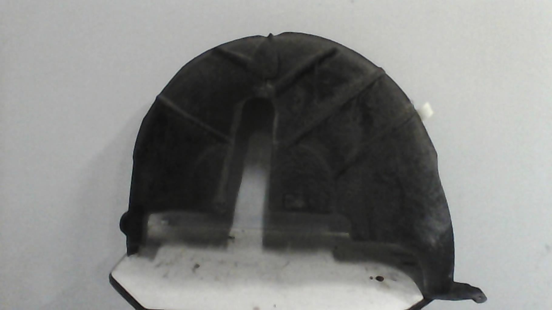 Parasale posteriore destro CITROEN C3 2 PHASE 1 Gasolina - 1