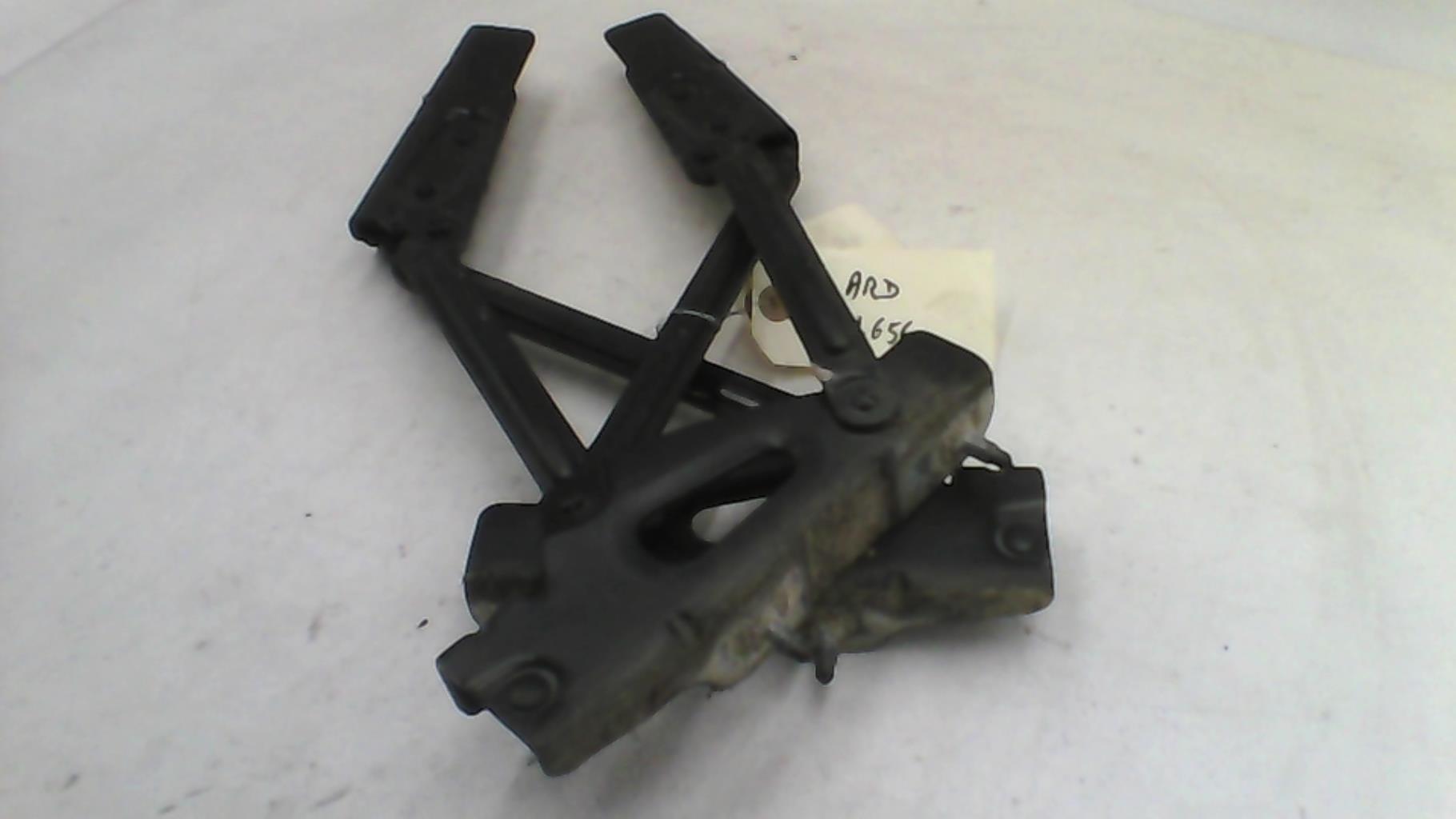 Cerniera portellone posteriore PEUGEOT 407 COUPE Diésel - 1