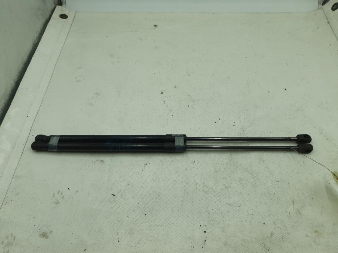 Verin de coffre BMW X1 E84 PHASE 1 Diesel - 1