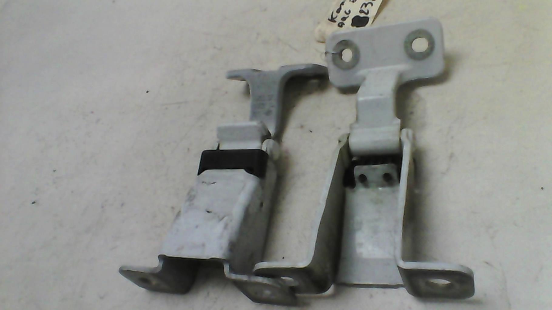 Cerniera porta bagagliaio sinistra RENAULT CLIO 3 PHASE 1 Diésel - 1