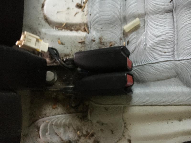 Aggancio cintura sicurezza posteriore destro CITROEN C4 2 PHASE 1 Diésel - 1