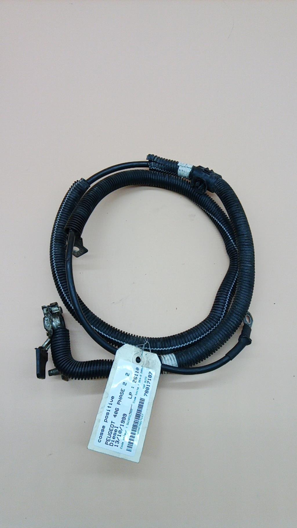 Morsetto per batteria PEUGEOT 406 PHASE 2 Diésel - 1