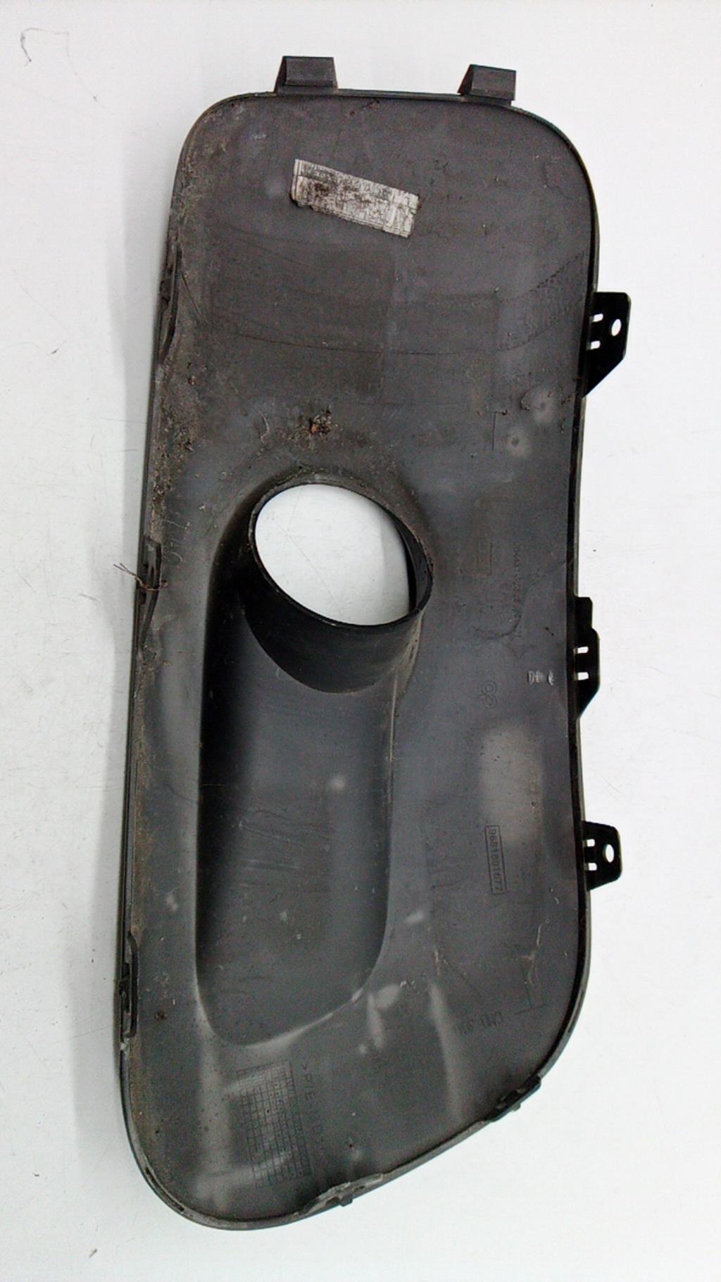 Cornice fendinebbia CITROEN C3 PICASSO PHASE 1 Diésel - 1