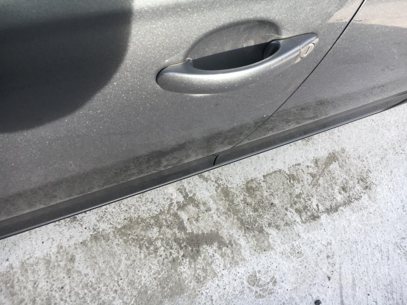 Maniglia portiera anteriore sinistra VOLKSWAGEN JETTA 3 Diésel - 1